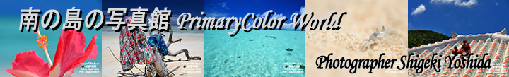 南の島の写真館　Primary Color World